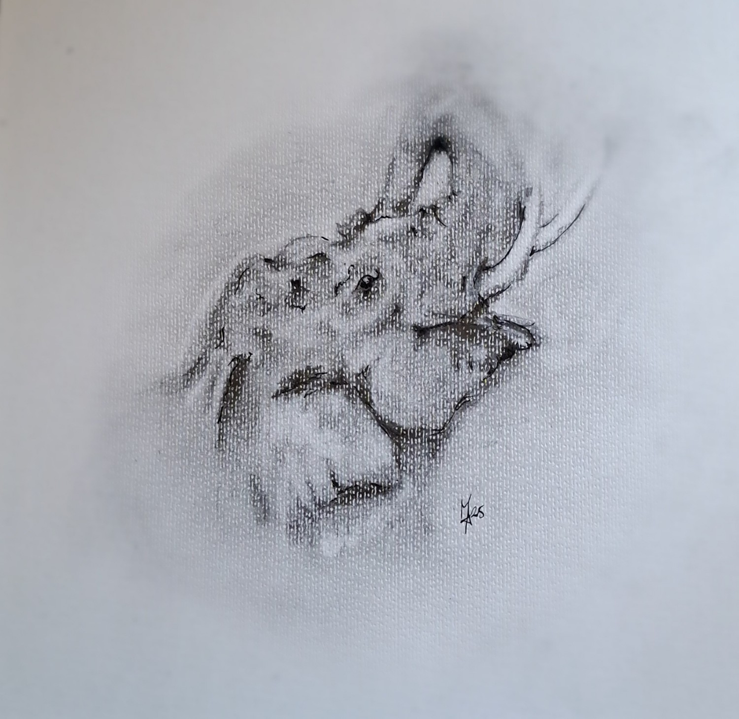 Abstract painting of an Indian Elephant